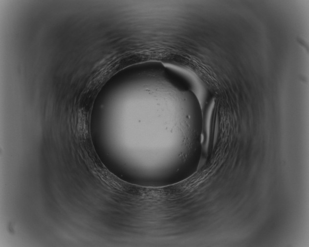 X0000096731058200802121309