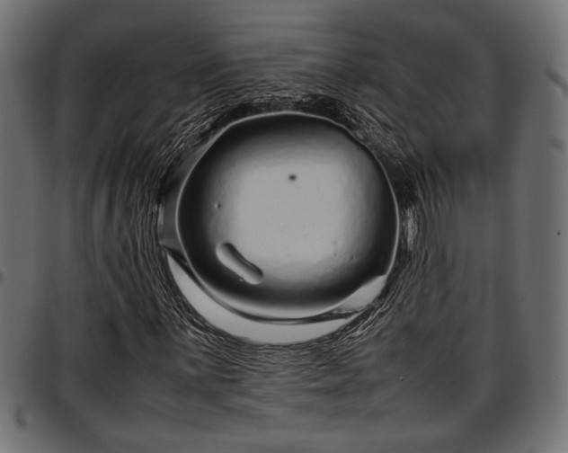 X0000096731059200802121309