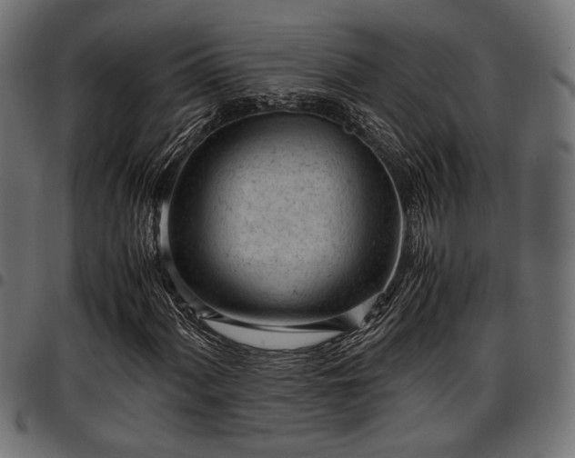 X0000096731060200802121309