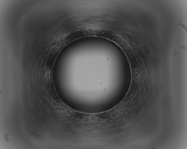 X0000096731061200802121309