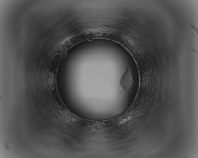 X0000096731062200802121309