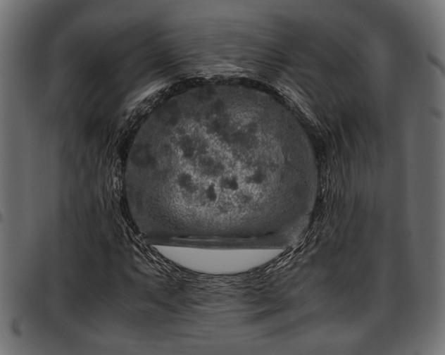 X0000096731063200802121309
