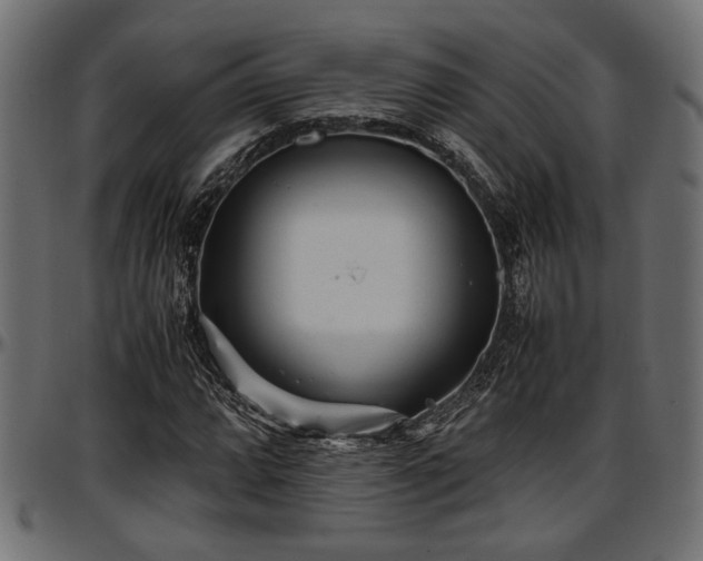 X0000096731064200802121309