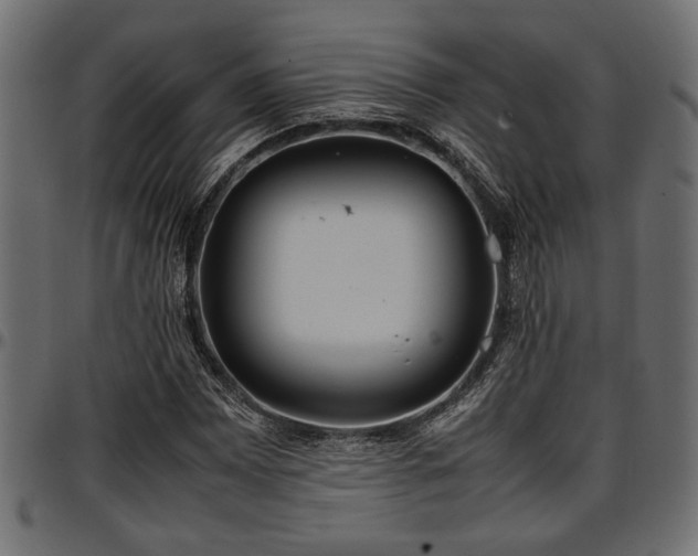 X0000096731065200802121309
