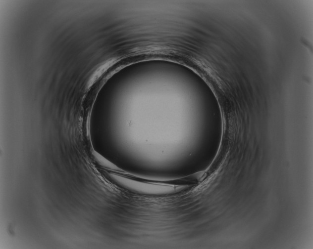 X0000096731066200802121309