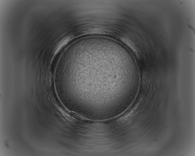 X0000096731067200802121309