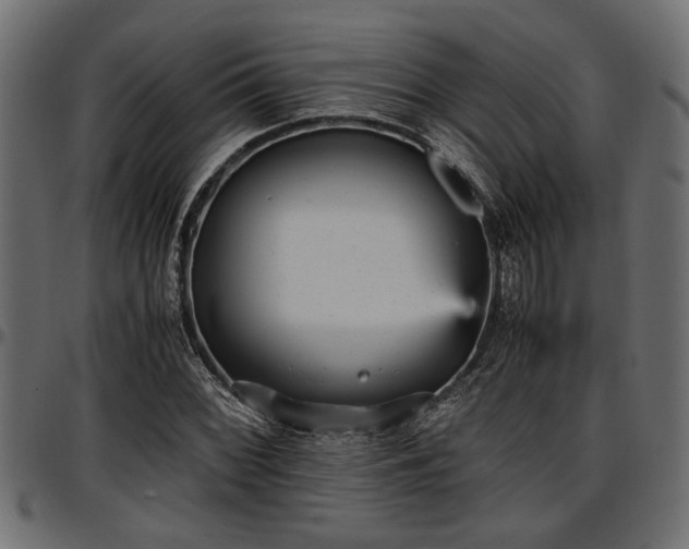 X0000096731068200802121309
