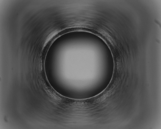X0000096731069200802121309