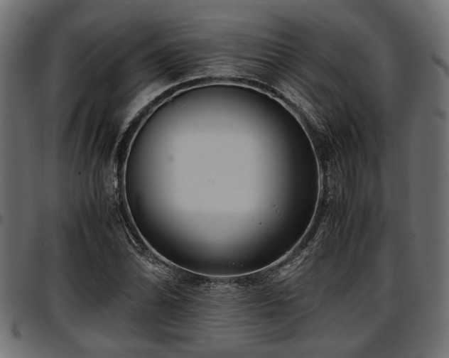 X0000096731070200802121309