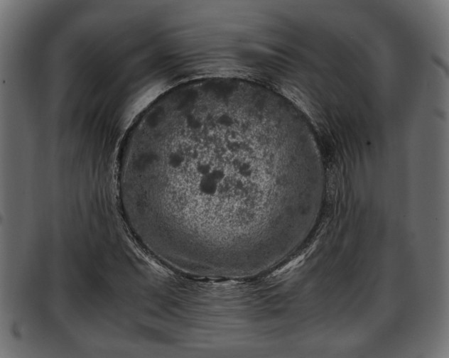 X0000096731071200802121309