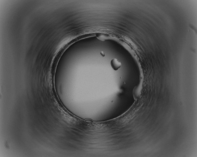 X0000096731072200802121309