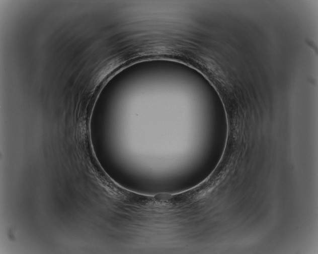 X0000096731073200802121309