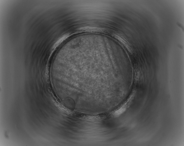 X0000096731074200802121309
