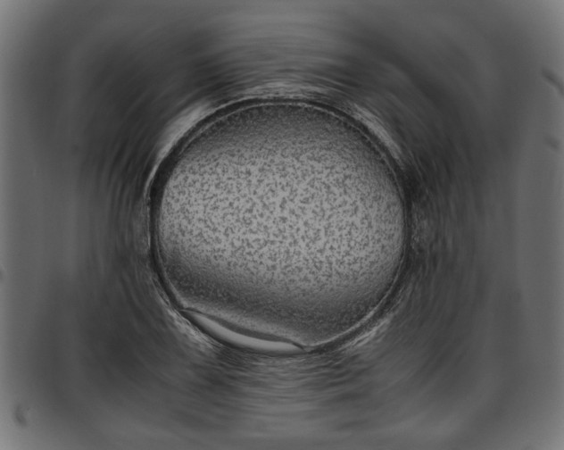 X0000096731075200802121309