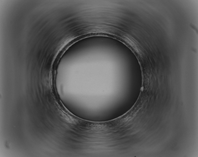 X0000096731076200802121309