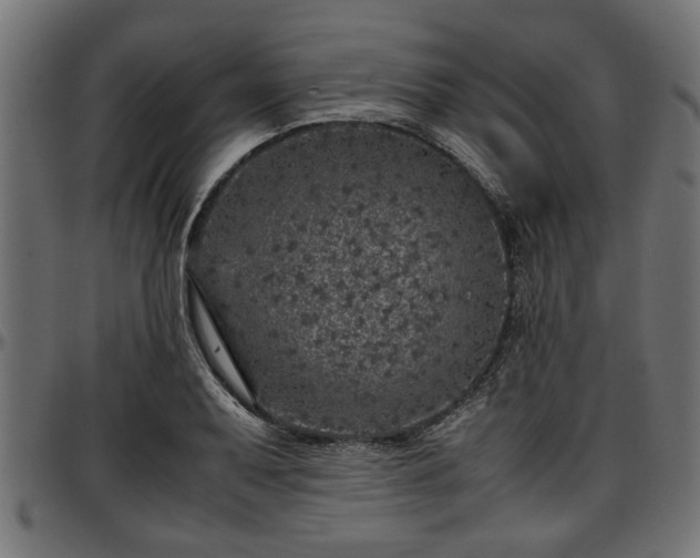 X0000096731079200802121309