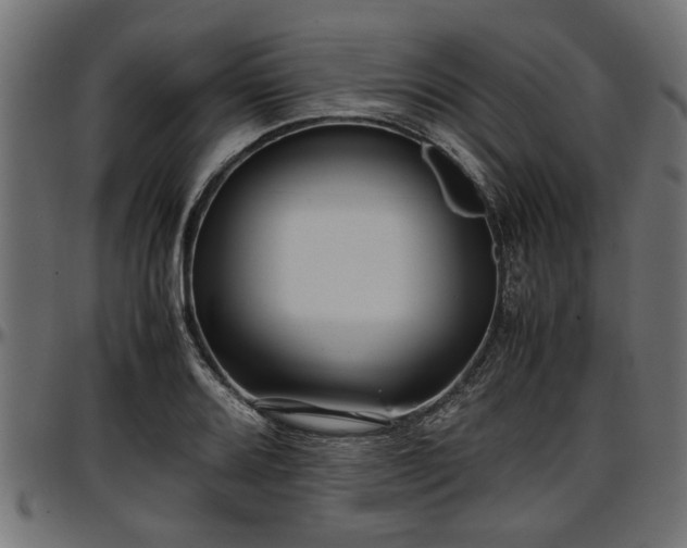 X0000096731080200802121309