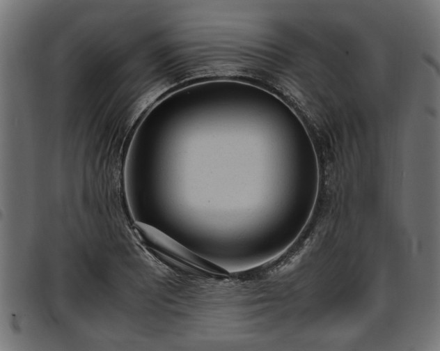 X0000096731081200802121309
