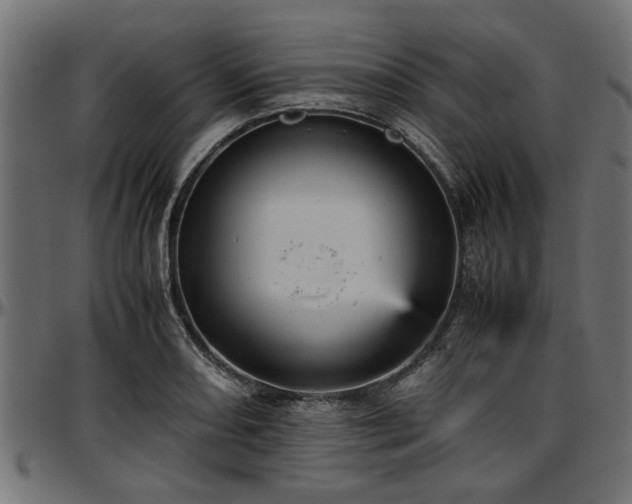 X0000096731082200802121309