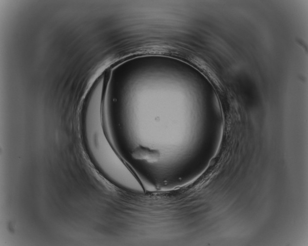 X0000096731083200802121309