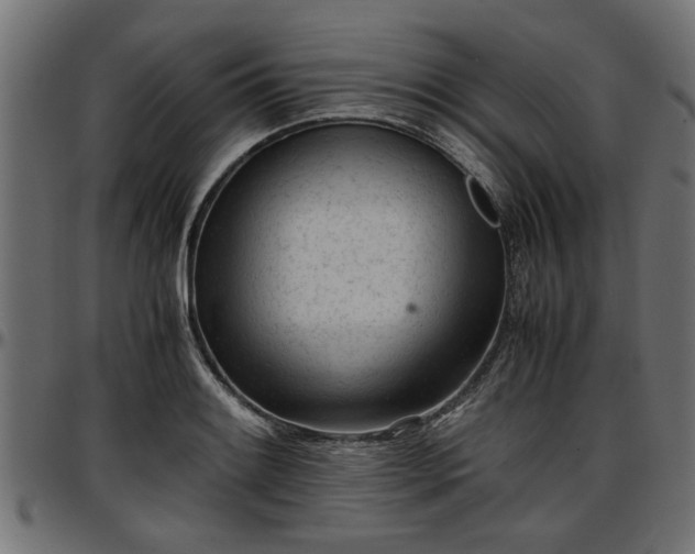 X0000096731084200802121309