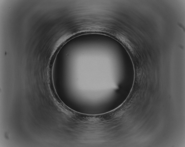 X0000096731085200802121309