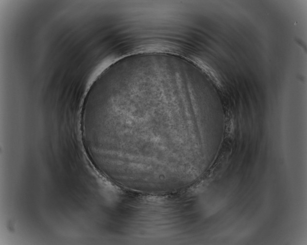 X0000096731086200802121309