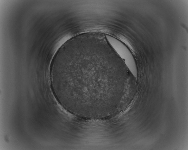 X0000096731087200802121309