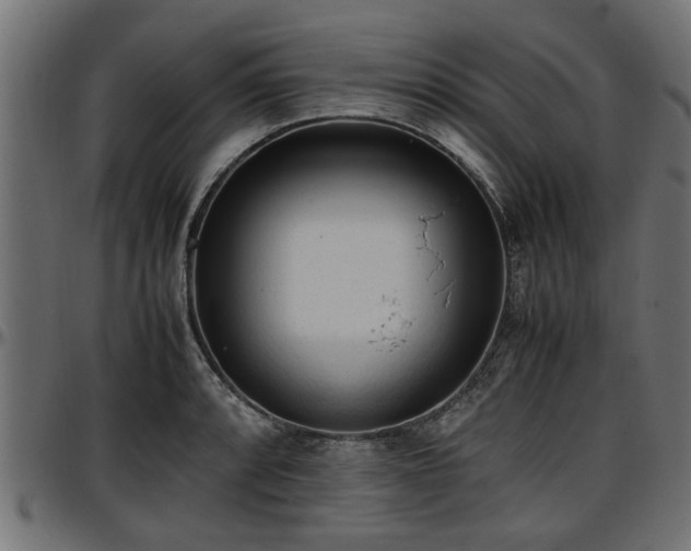 X0000096731088200802121309