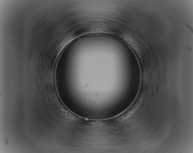 X0000096731089200802121309