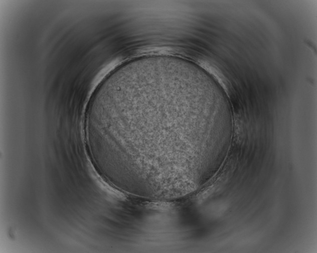 X0000096731090200802121309