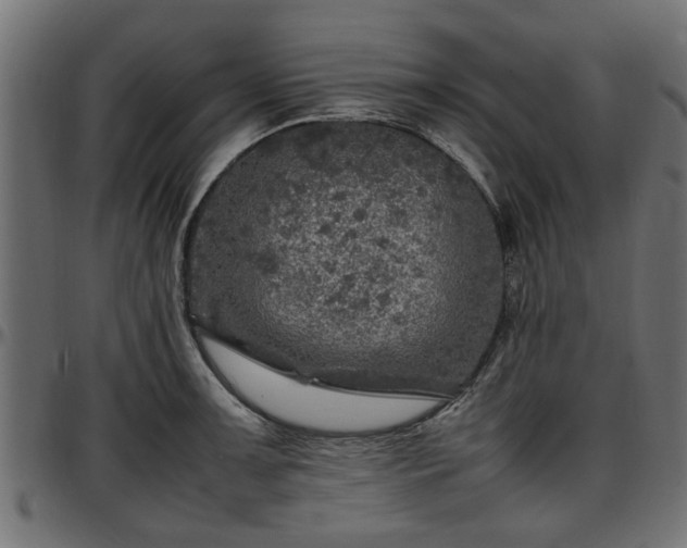 X0000096731091200802121309