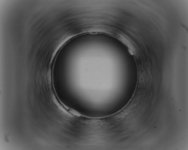 X0000096731092200802121309