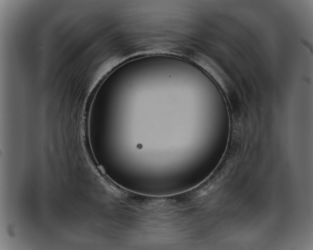 X0000096731093200802121309