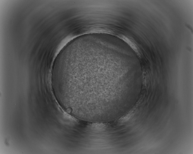 X0000096731094200802121309
