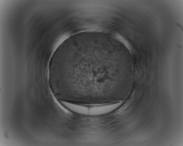 X0000096731095200802121309
