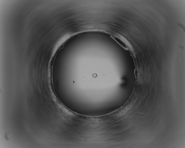 X0000096731096200802121309