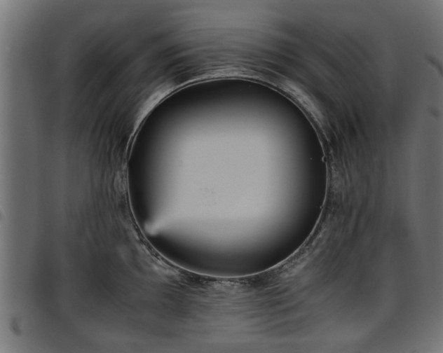 X0000096731097200802121309