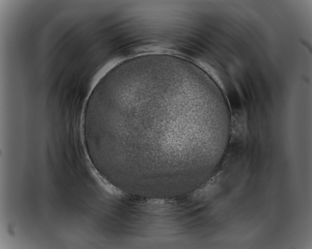 X0000096731098200802121308