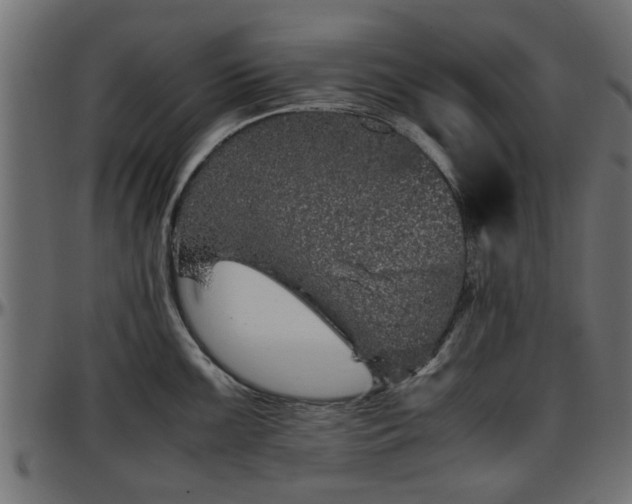 X0000096731099200802121308