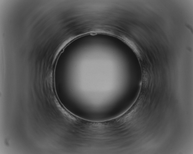 X0000096731100200802121308