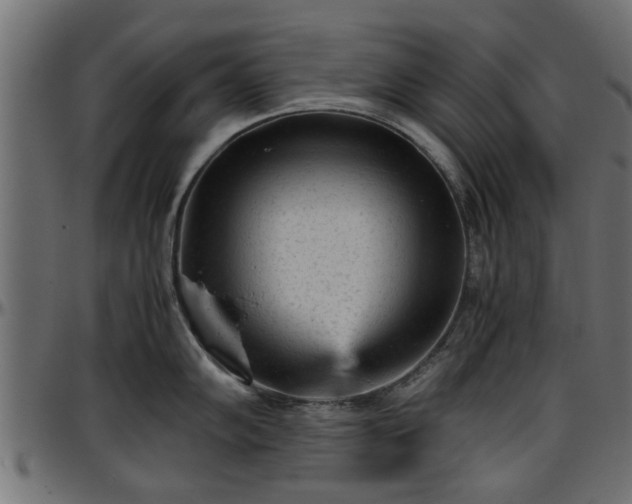 X0000096731102200802121308