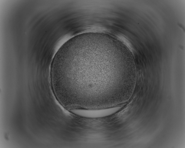 X0000096731103200802121308