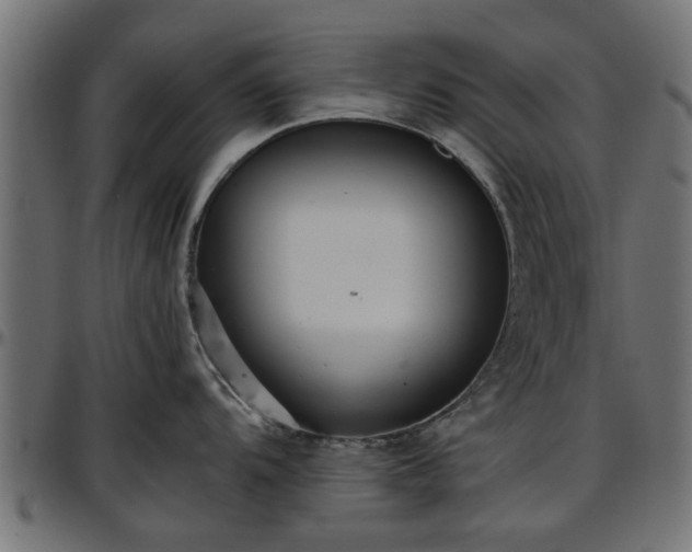 X0000096731104200802121308