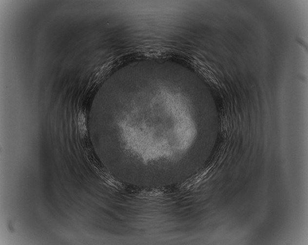 X0000096731106200802121307