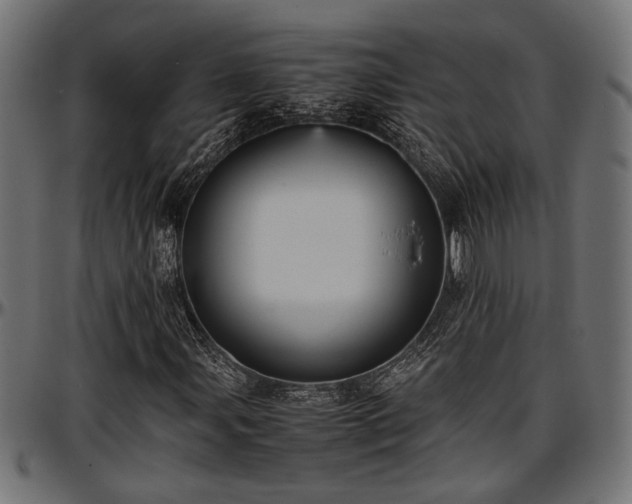 X0000096731107200802121307