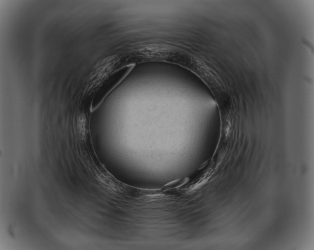 X0000096731108200802121308