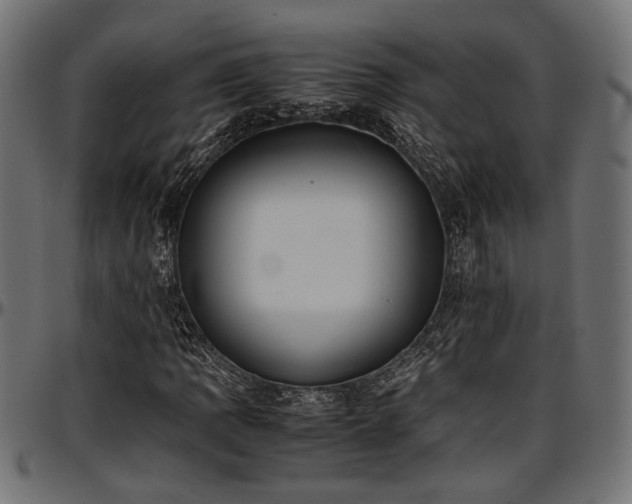 X0000096731109200802121308