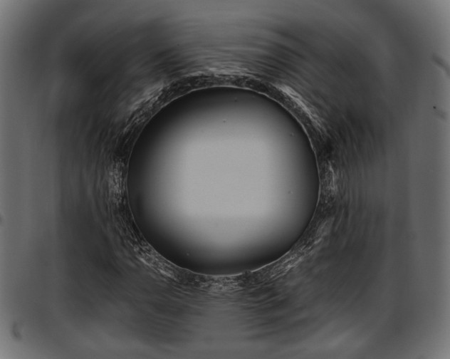 X0000096731110200802121308