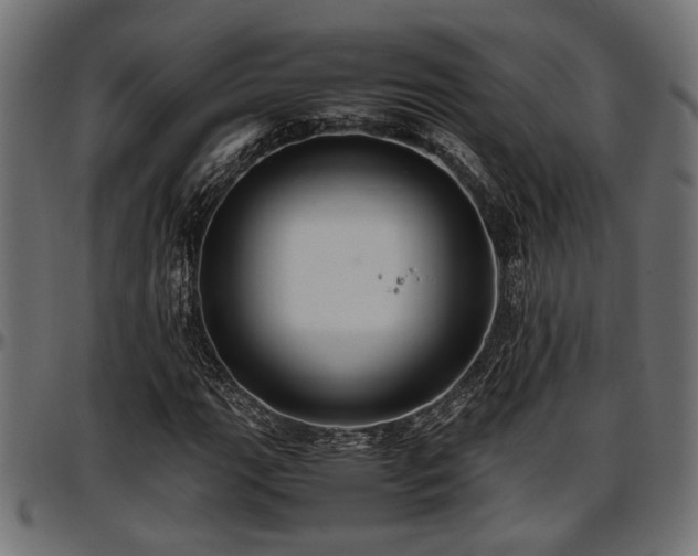 X0000096731111200802121308